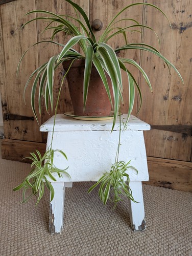 Vintage rustic wooden - vintage,